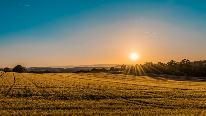 Feldweg Sonnenuntergang